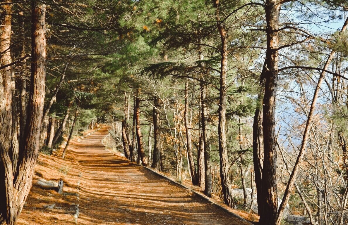 Панорама моря с Царской тропы