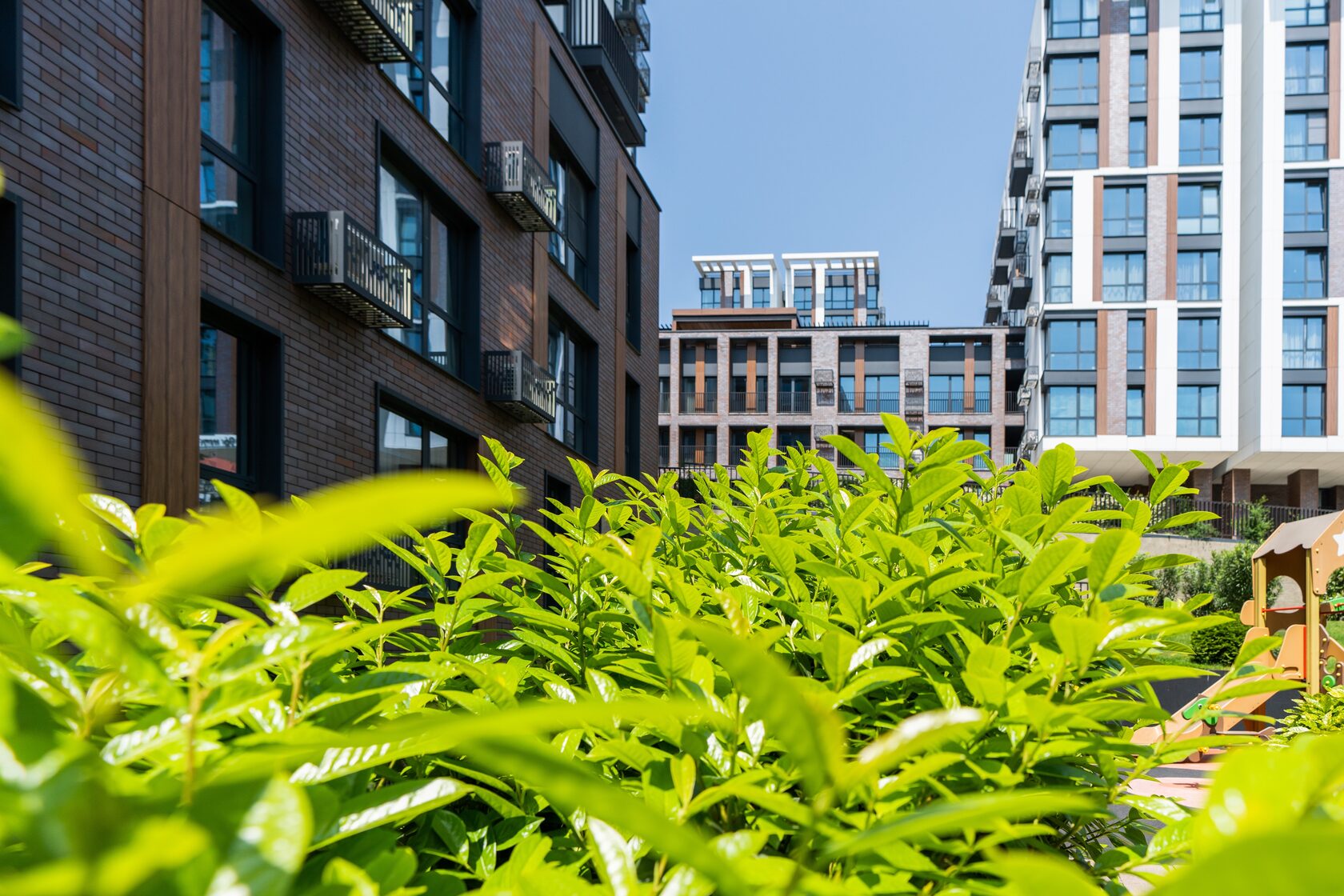 Моравия Сочи — ресепшн с деревянной стойкой