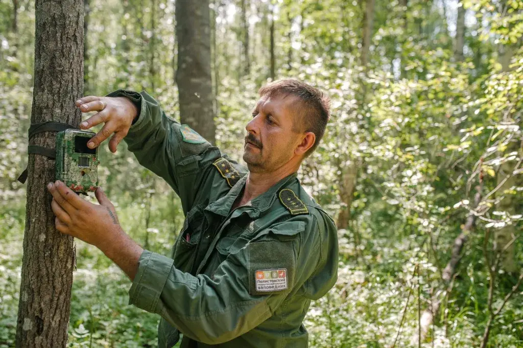 Инспектор заповедника 