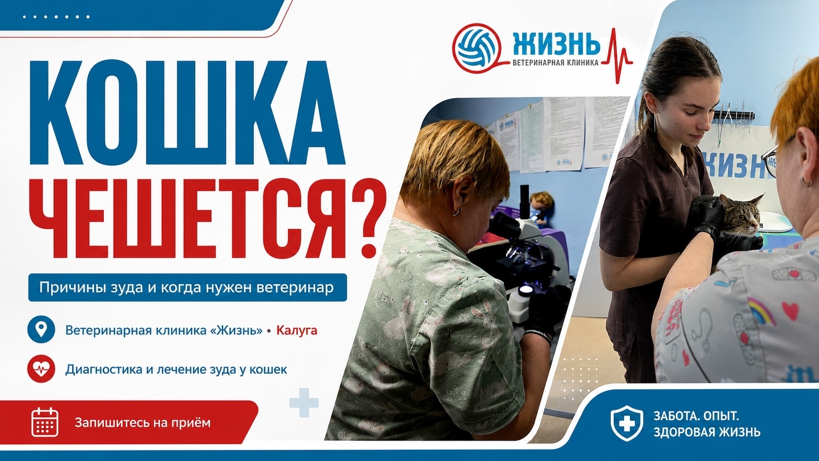 Диагностика и лечнение зуда у животных в Калуге. 