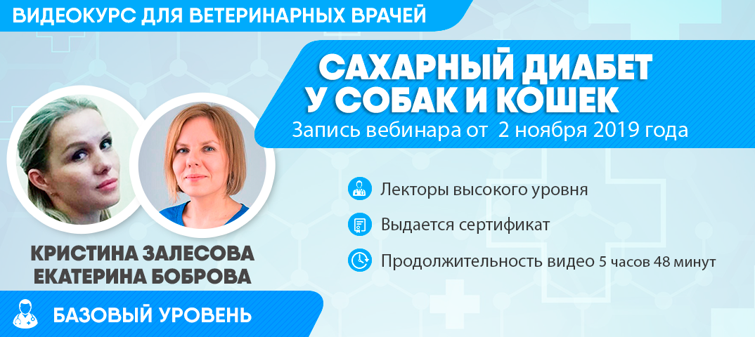 Вебинары по эндокринологии. Вебинары по эндокринологии