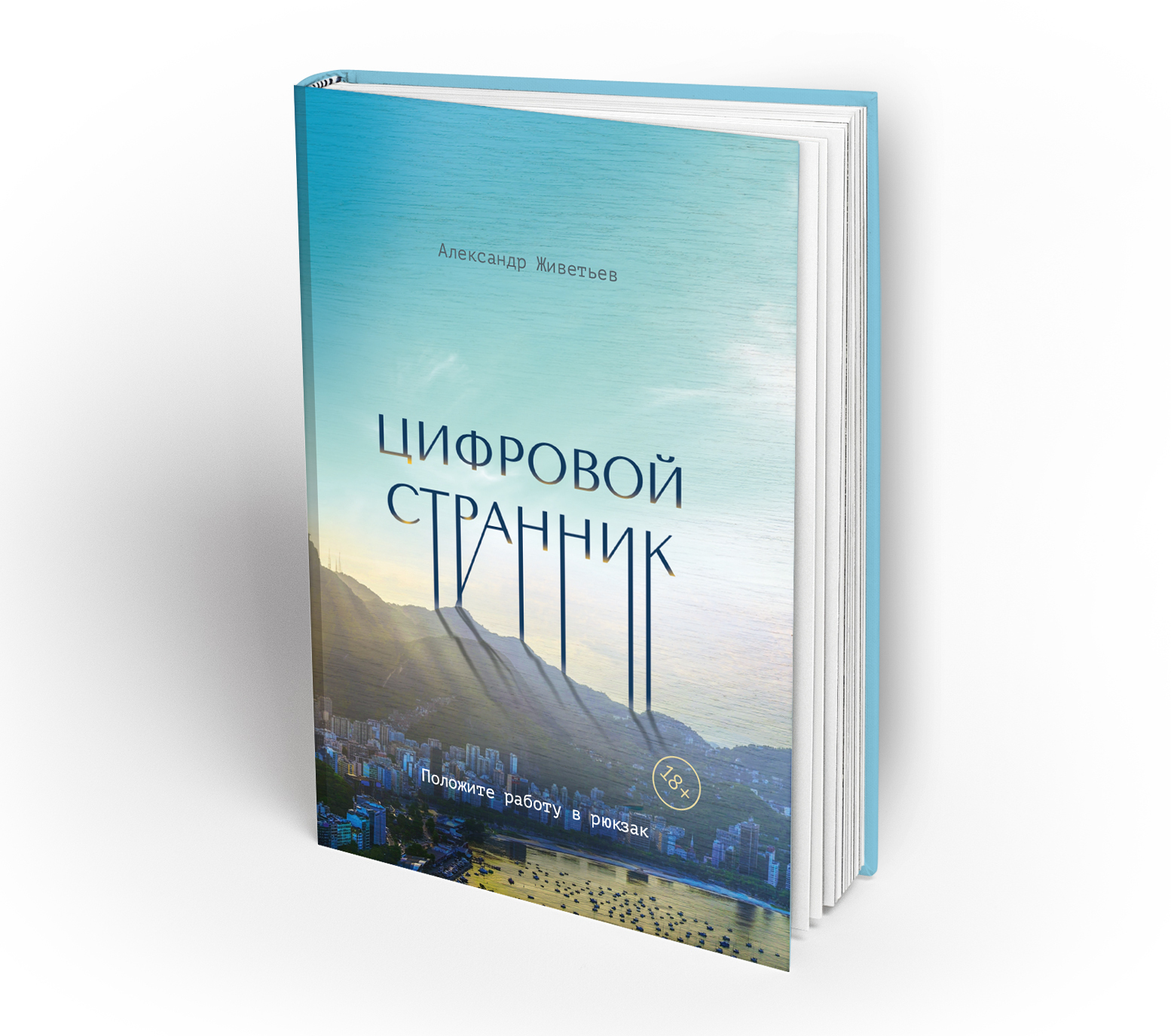 Цифровой странник — книга Александра Живетьева