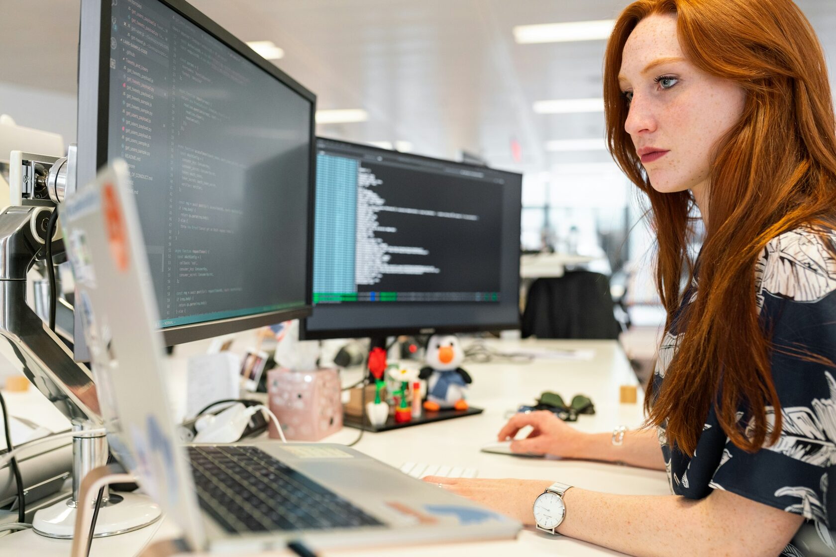 C# Software Developer
