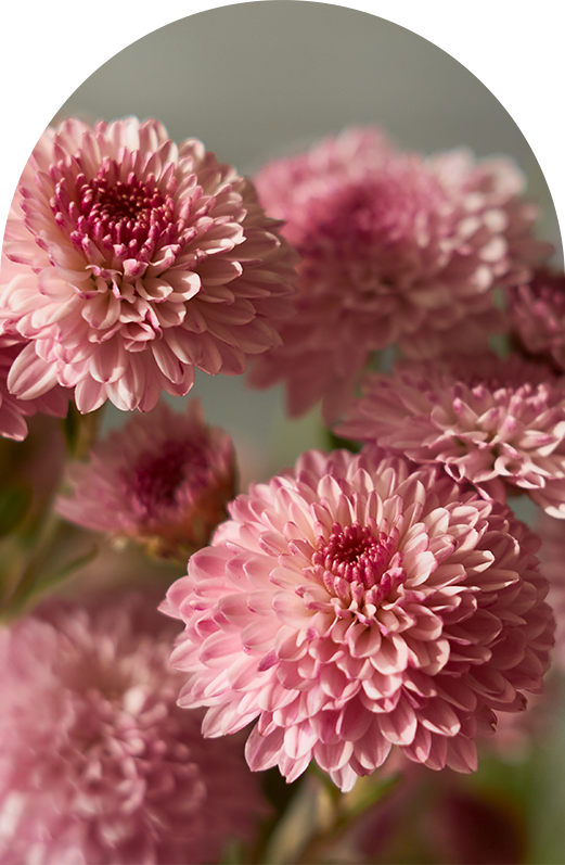 уход за букетом