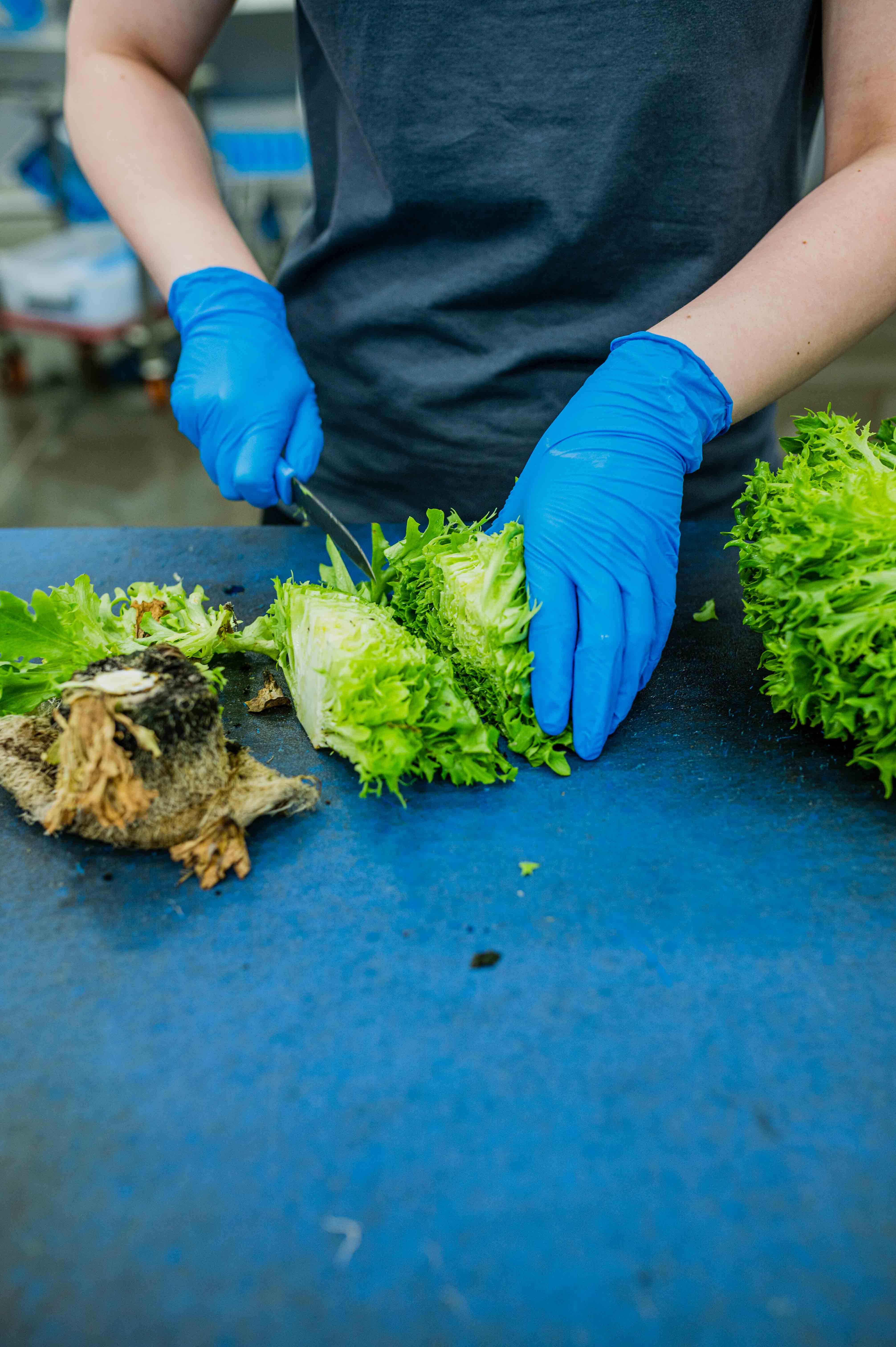 Persoon die sla aan het snijden is