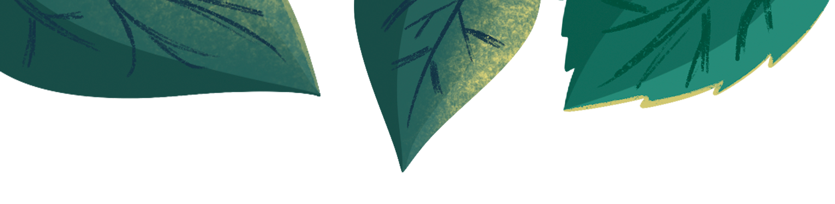 Красивая иллюстрация листьев деревьев для оформления настольной игры для детей от 3 лет