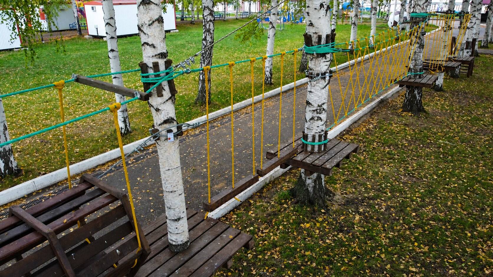 2 трассы · высоты 1 / 3 м · скалодром · монтаж на берёзах — фотография 4