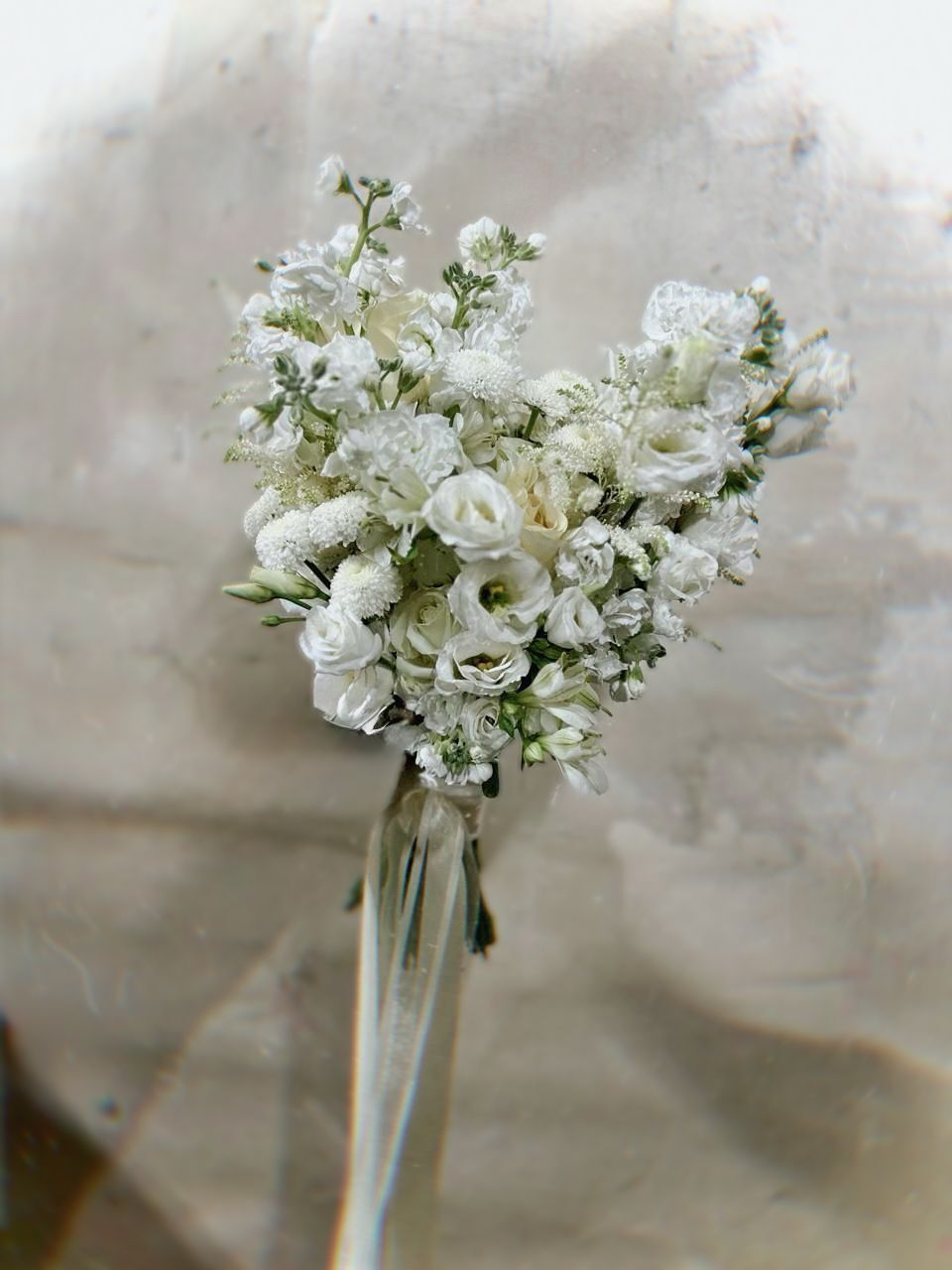 Image 56
