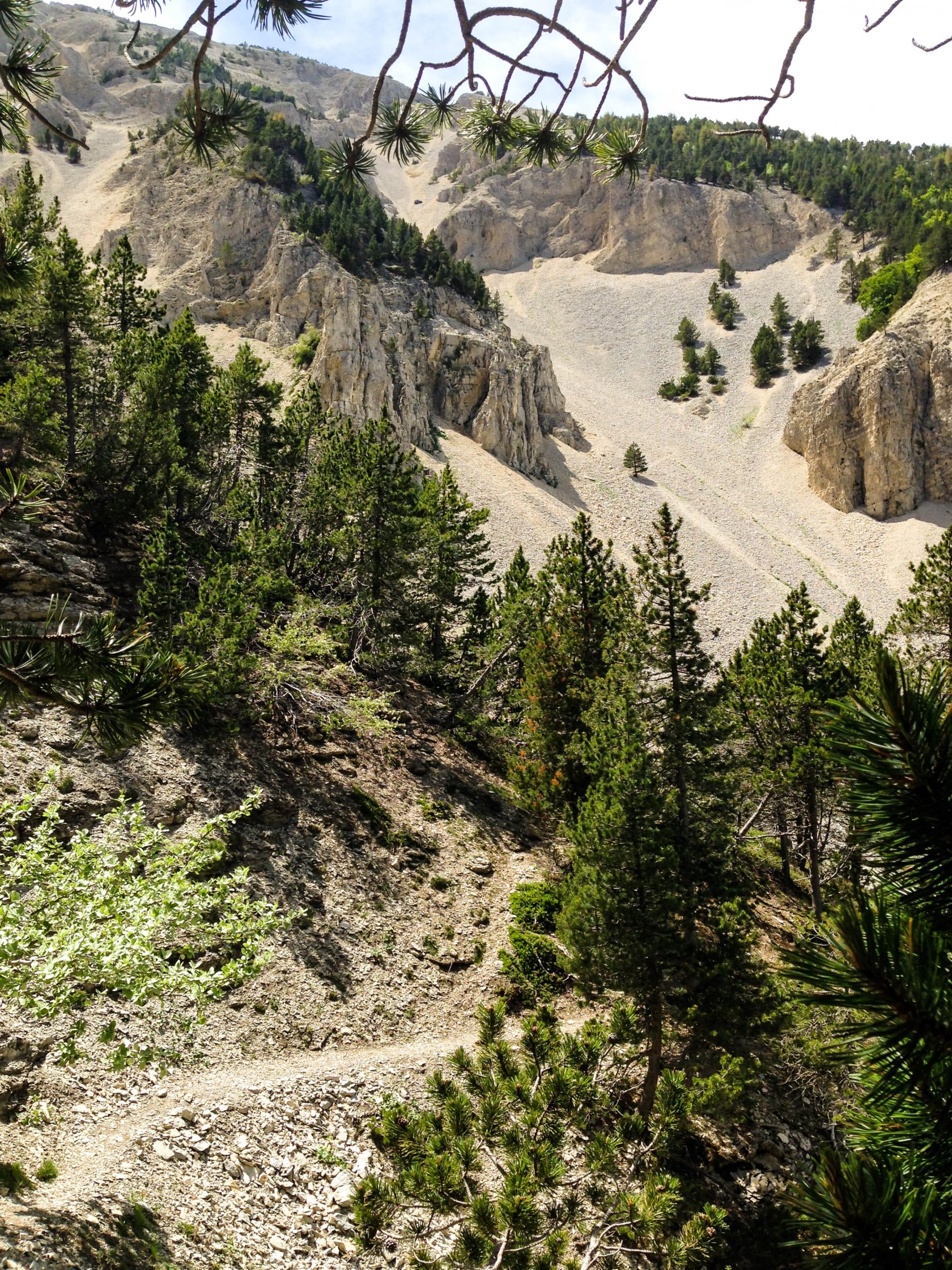 Природа Прованса