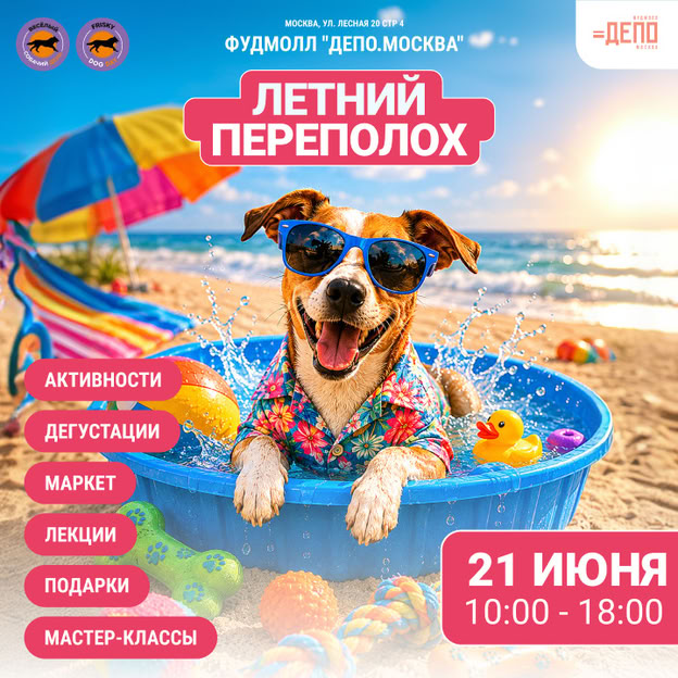 Весёлый собачий день