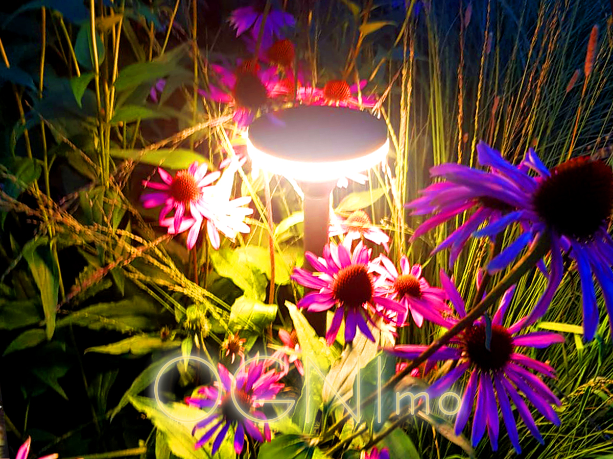 Как подсветить садовые дорожки - выбор светильников и ФОТО-идеи | блог компании LedRus