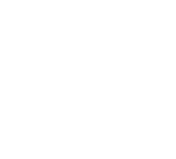 Ahmadullin Architects