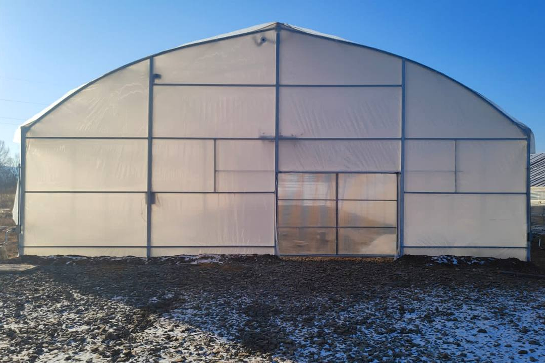 экологически чистые продукты