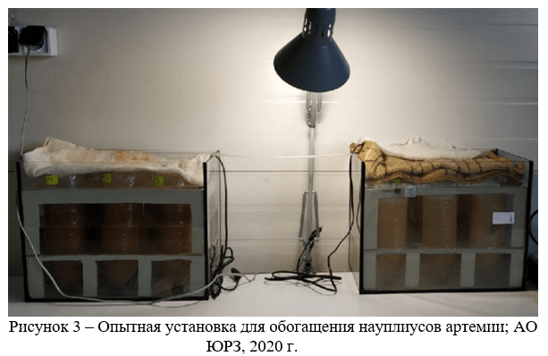 Опытная установка для обогащения науплиусов артемии; АО ЮРЗ, 2020 г.