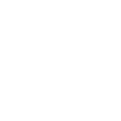 Портретная экспертиза