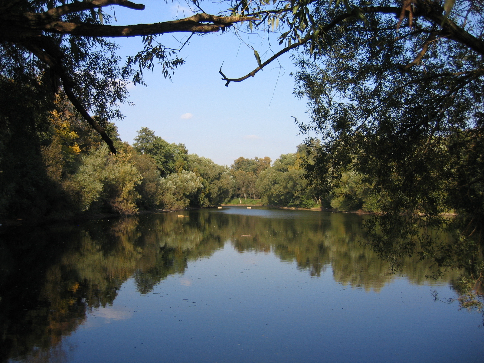 Кузьминский парк пруд