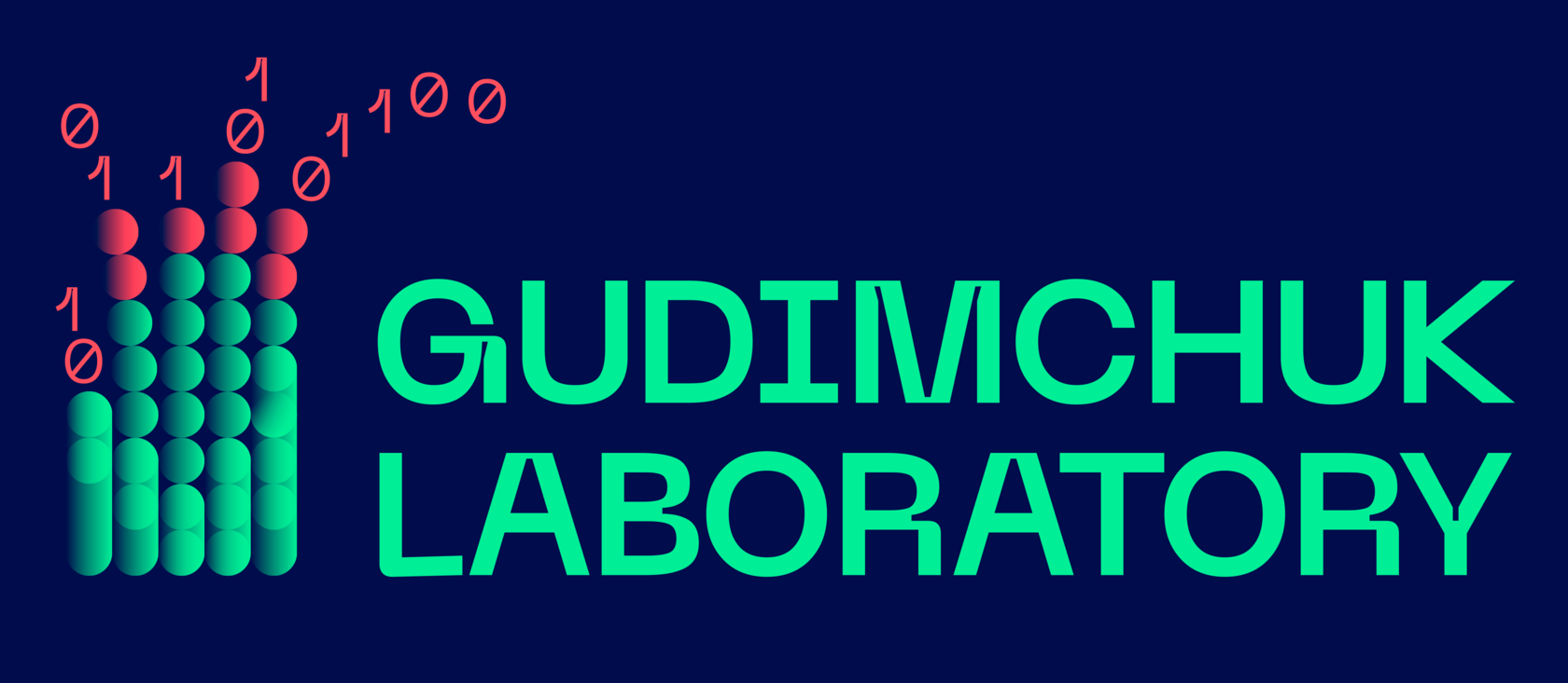 Gudimchuk Lab