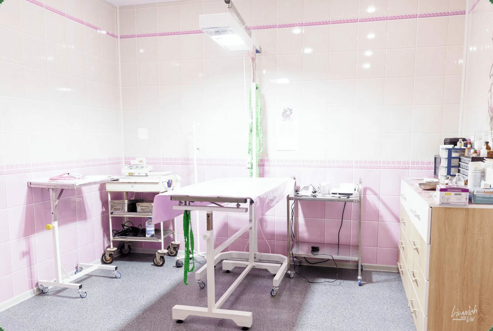 Ветеринарная клиника