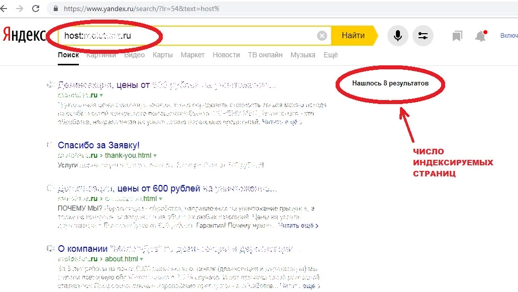 Проверка количества индексируемых в Яндексе страниц изображение