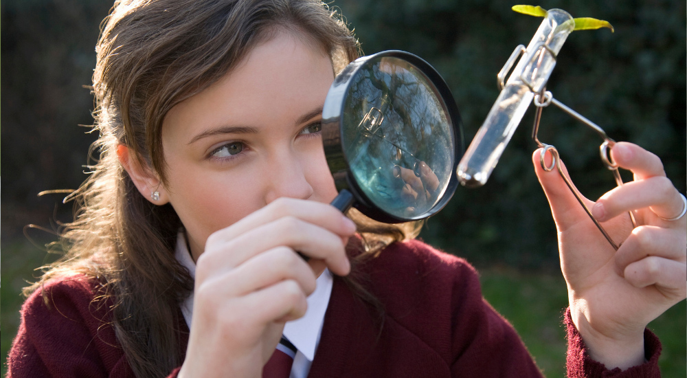 Олимпиада по биологии 6 класс: что важно знать