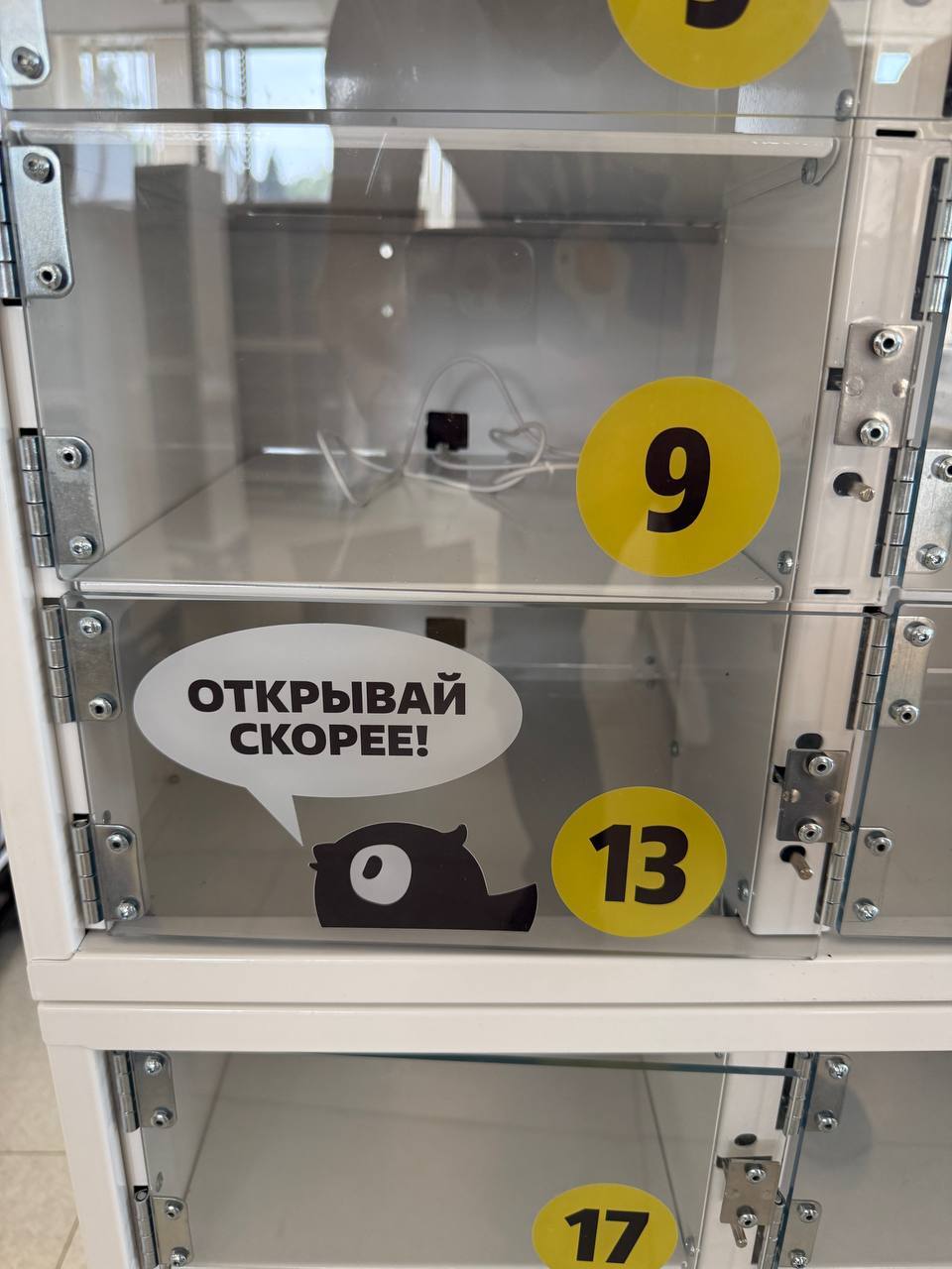 Открывай скорее — оформление шкафа Инлокер для Чижика