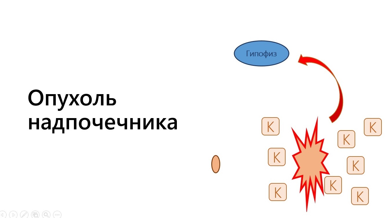 Синдром Кушинга собак