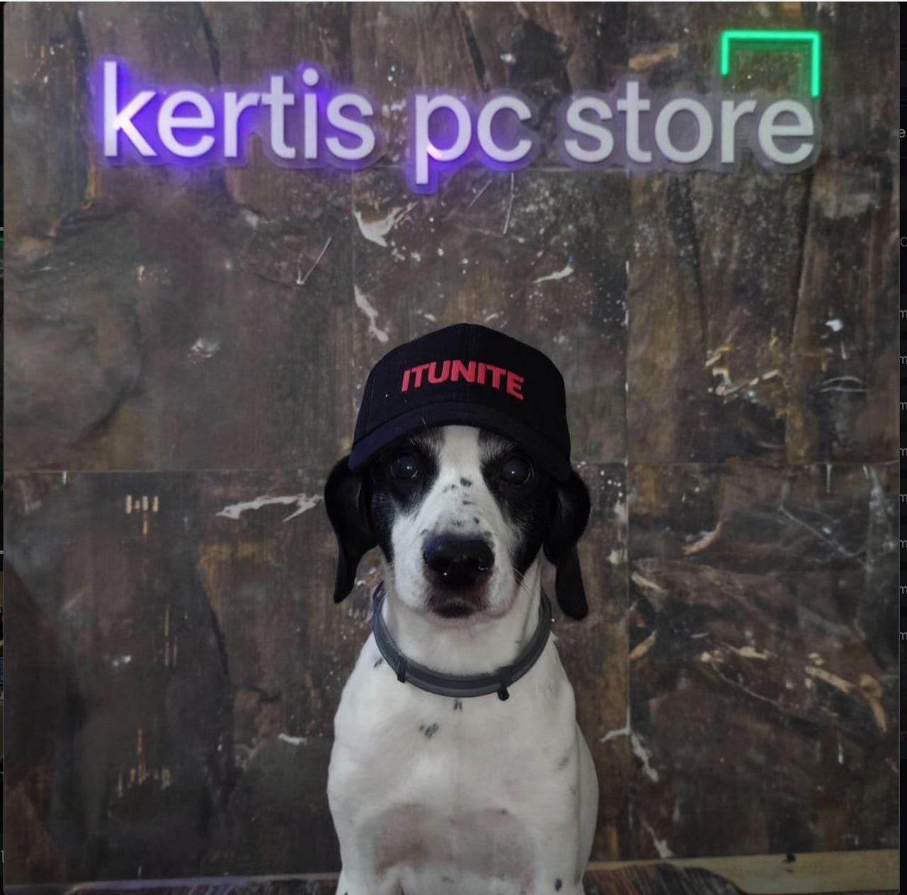 Кёртис бежит
