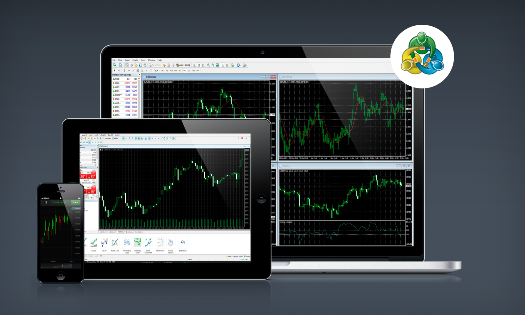 Cash For Types of Accounts at Exness