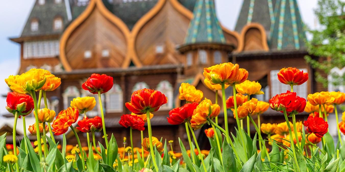 Не только Ночь музеев: куда бесплатно сходить днём в Москве 16 мая - мотоциклы и поезда, цветущие сады и музеи