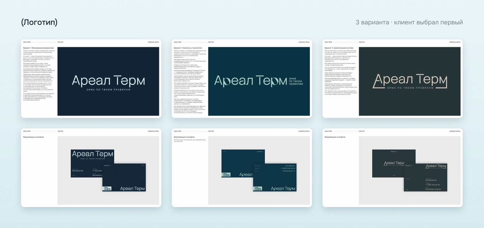 Три варианта логотипа «Ареал Терм» с визитками