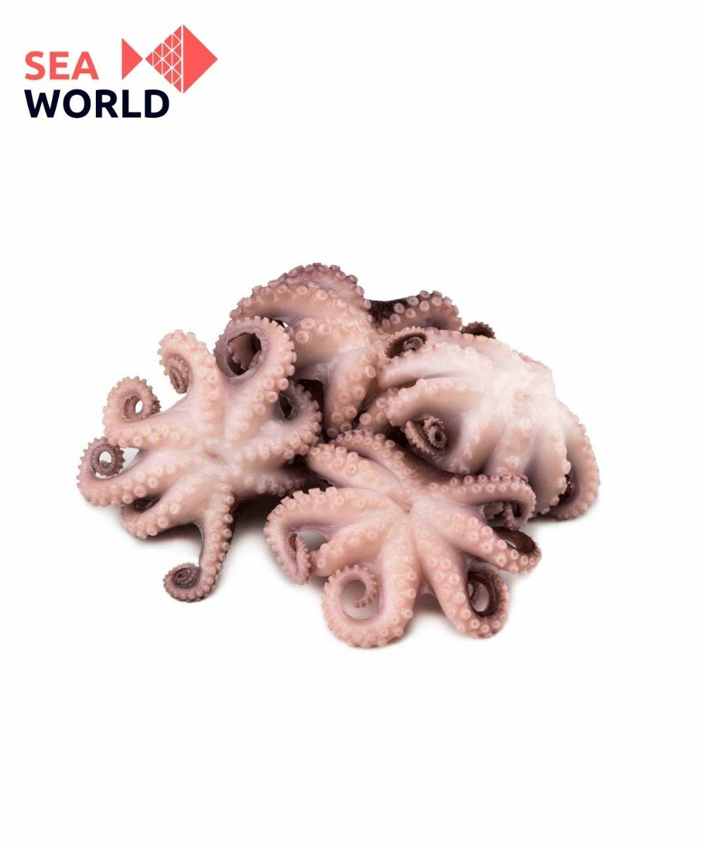 Рыба и морепродукты