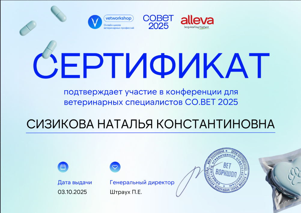 Сертификат об обучении 36