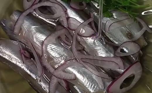Приготовление маринованной мойвы в домашних условиях: шаг 4