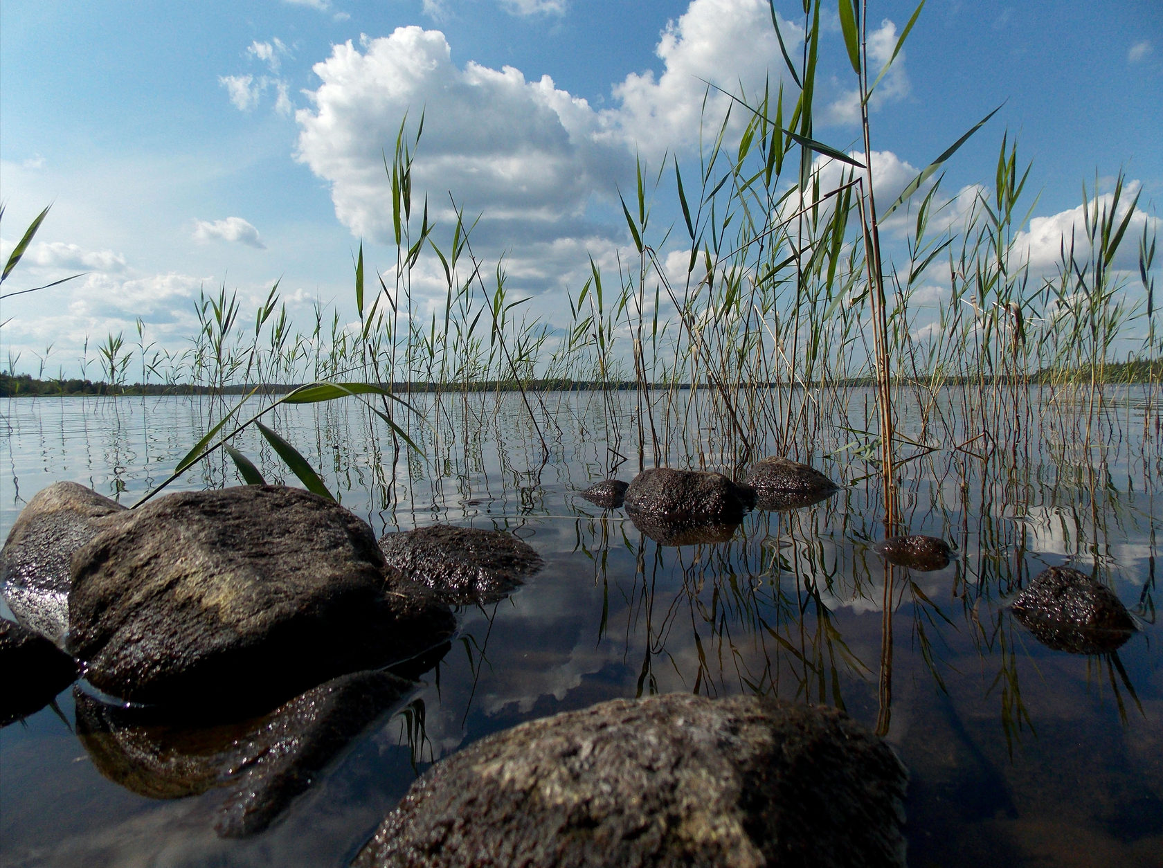 Пути к белому морю. Река Паша. Ланга и реки. Шарлыкский район реки. Белое море Холодное или теплое.