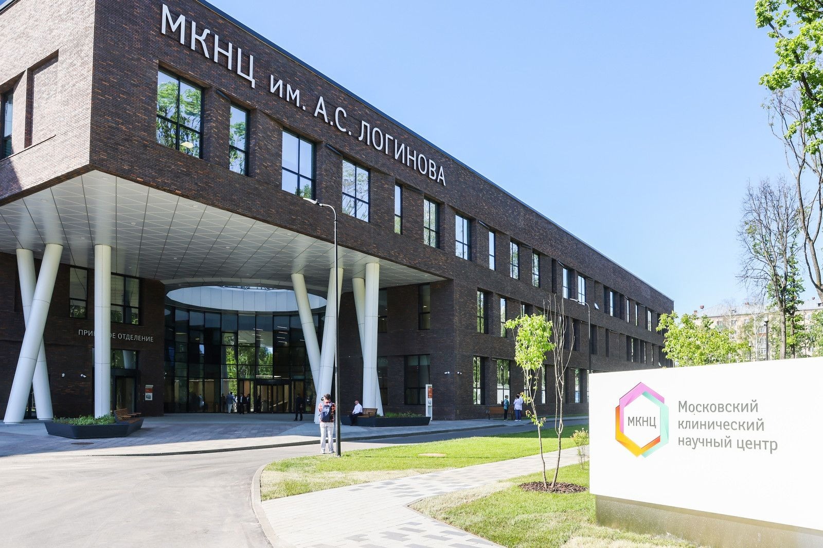 медицинские стажировки