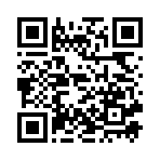Самодиагностика QR