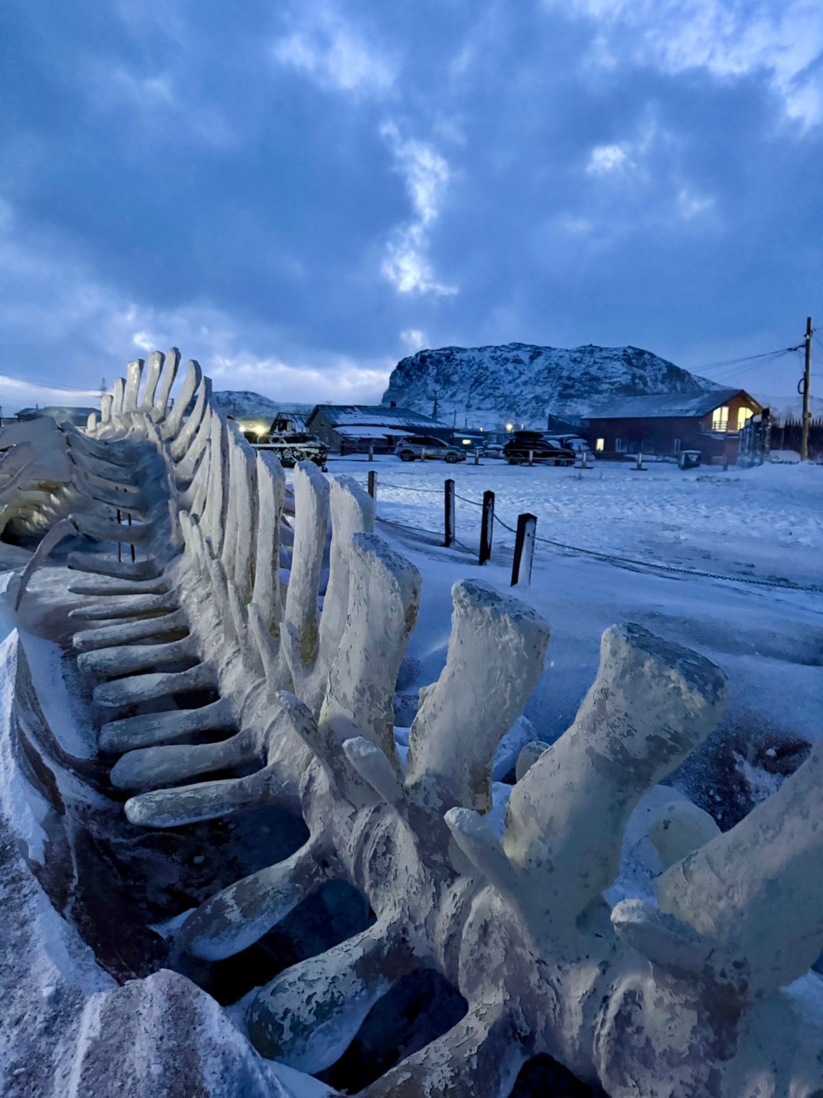 Мурманск туры на китов и северное сияние