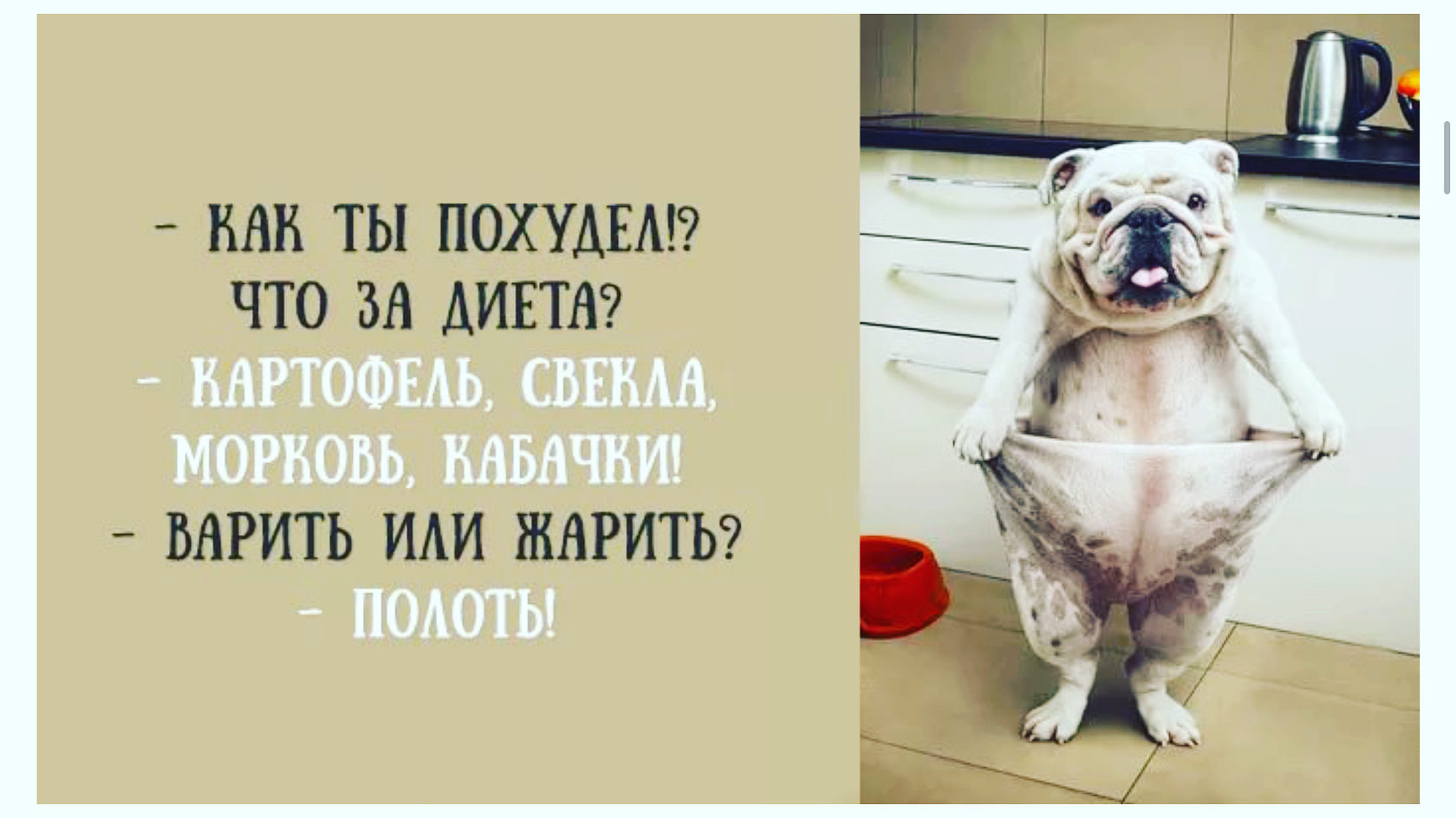 Диета картинки прикольные с надписями без спорта Диета картинки прикольные с надписями без спорта