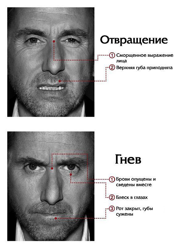 Мимика лица в картинках - 74 фото