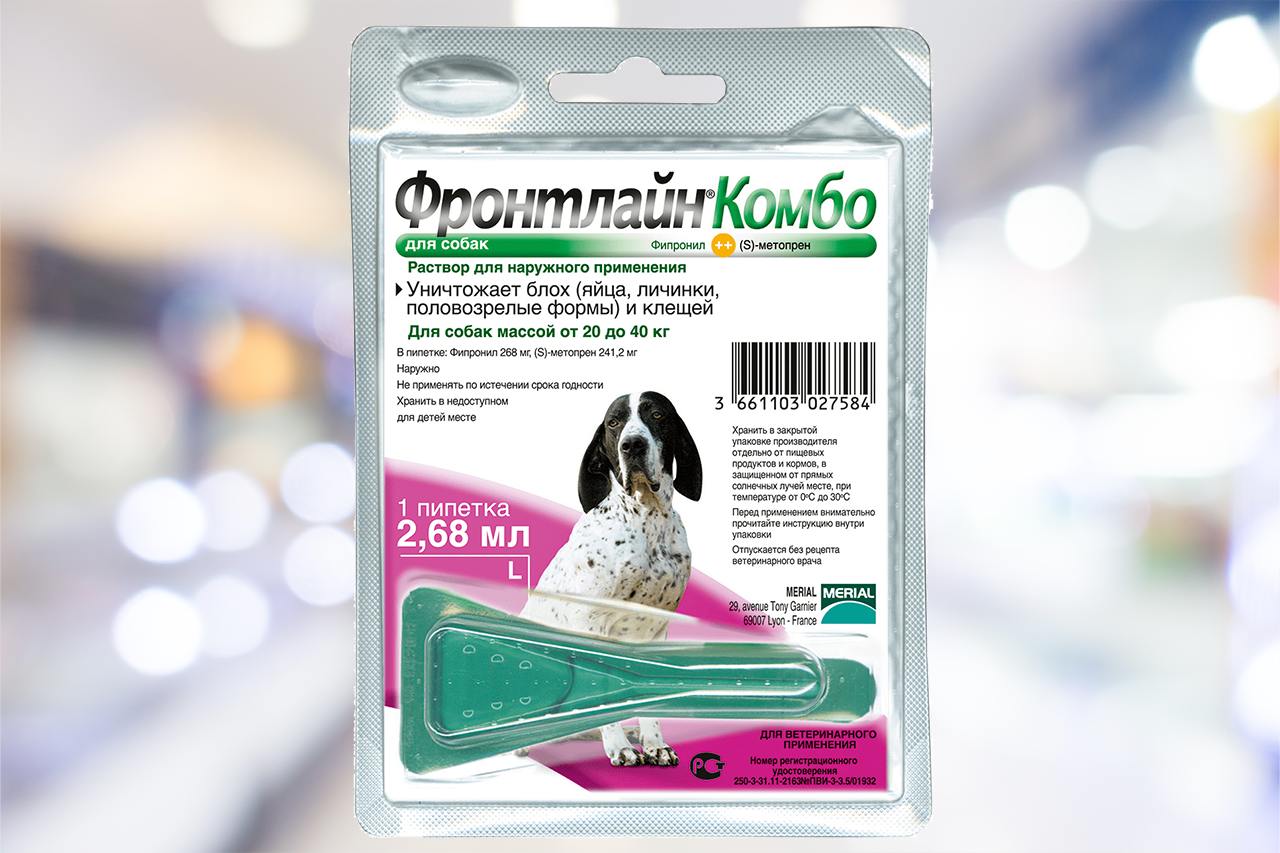 Как и чем быстро вывести блох из дома, что помогает лучше