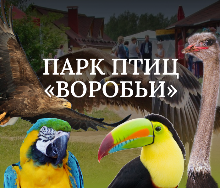 Парк птиц Воробьи для детской группы