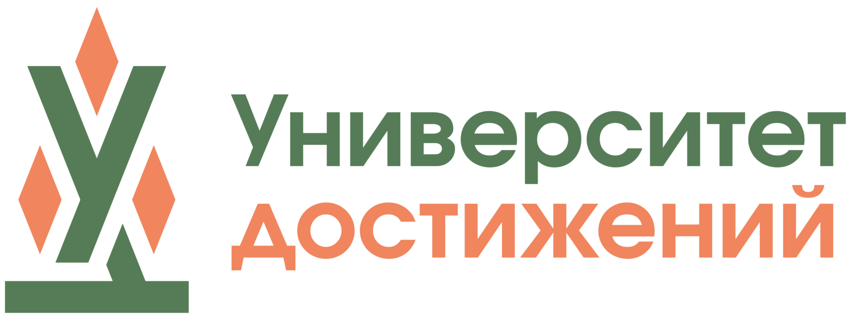 Университет достижений 