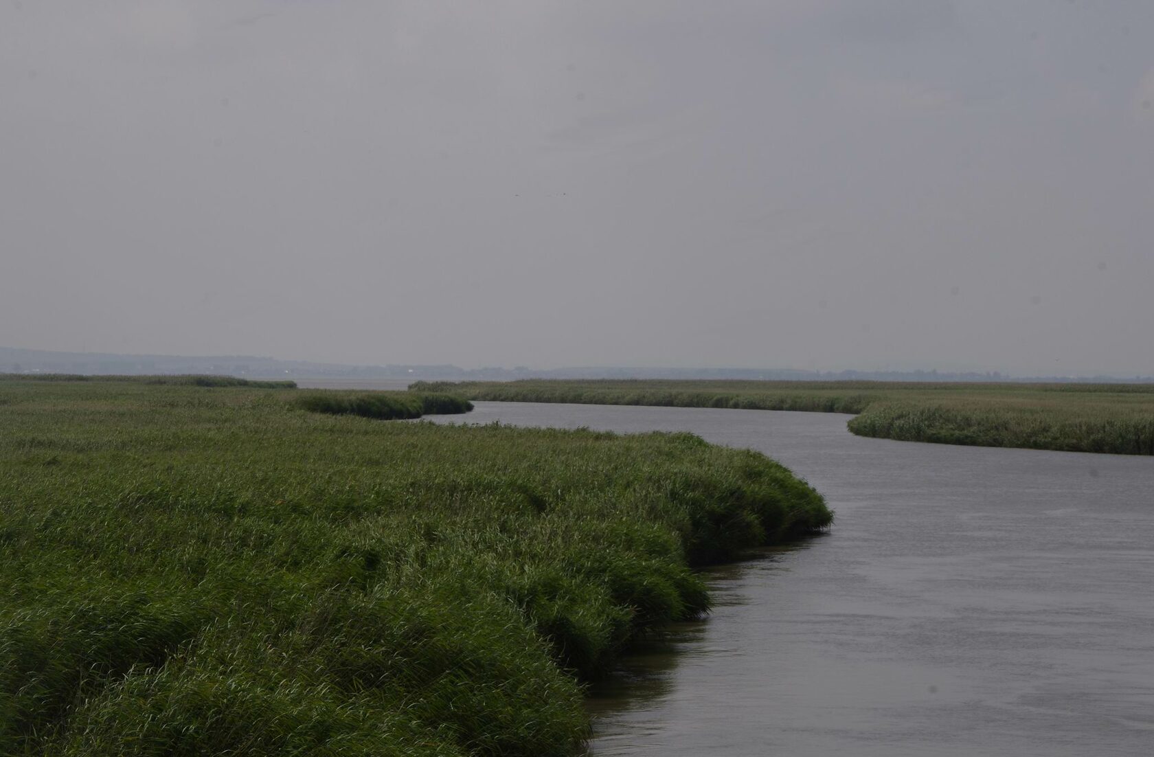 дельта реки дон