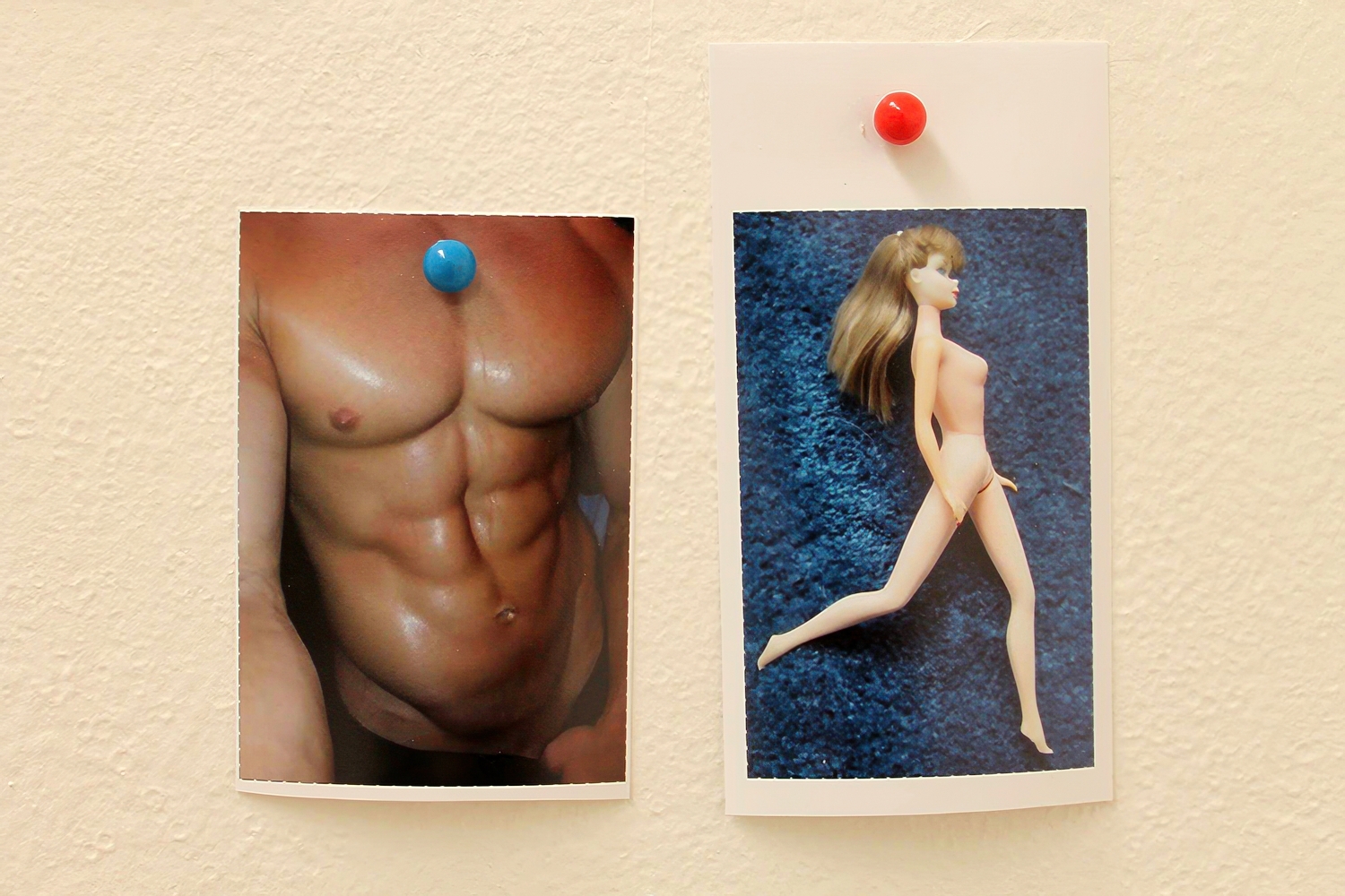 Фрагмент серыі Алены Пратасевіч «#Perfect цела (хэштэг Ідэальнае цела)» / выстава «Anatomia. Ідэальнае цела», Менск 2015