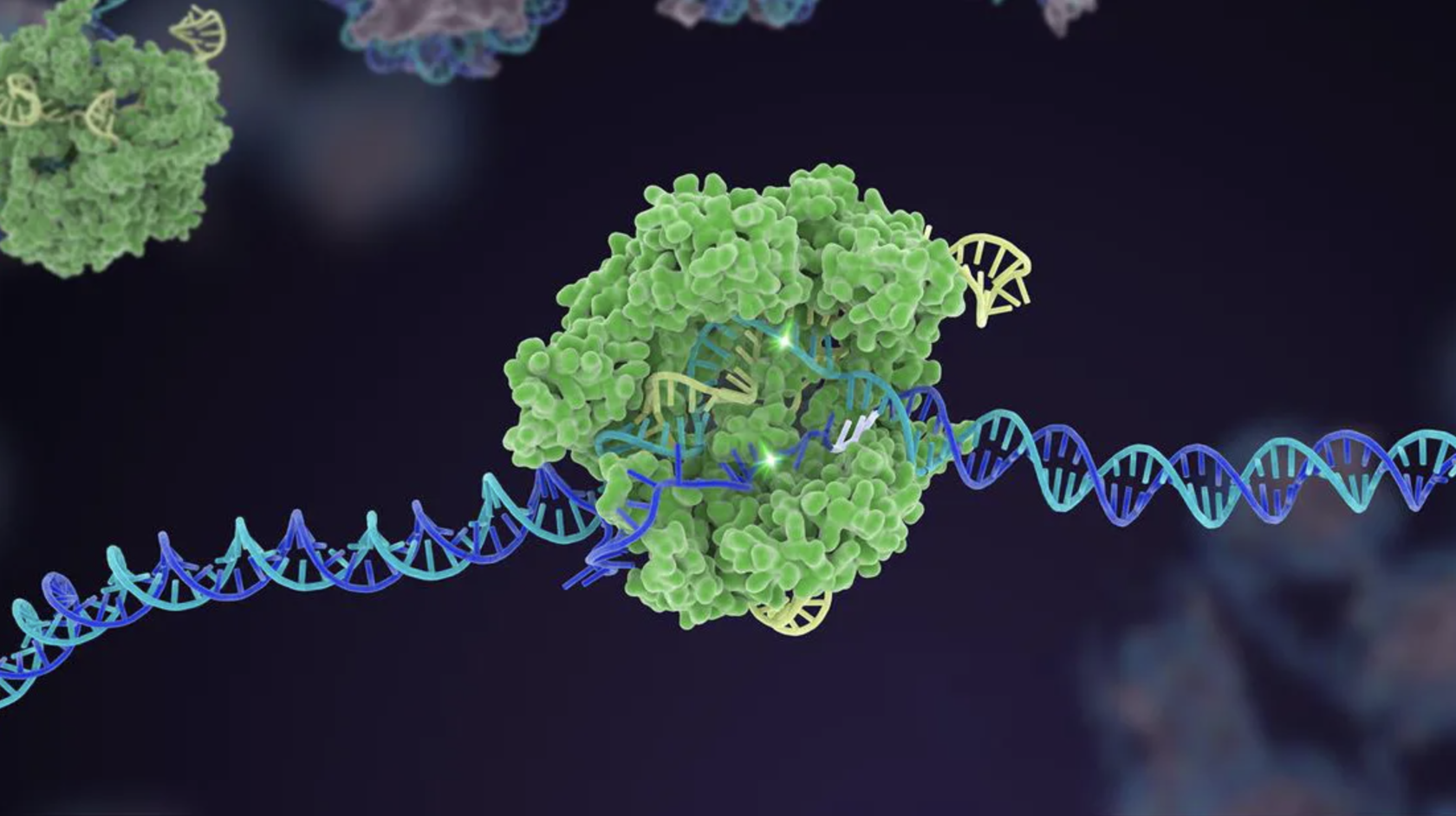 Ген геном генетические аппараты. Система CRISPR/cas9. Редактирование генома с CRISPR/cas9. CRISPR cas9 технология. Редактирование Гена CRISPR‐cas9.