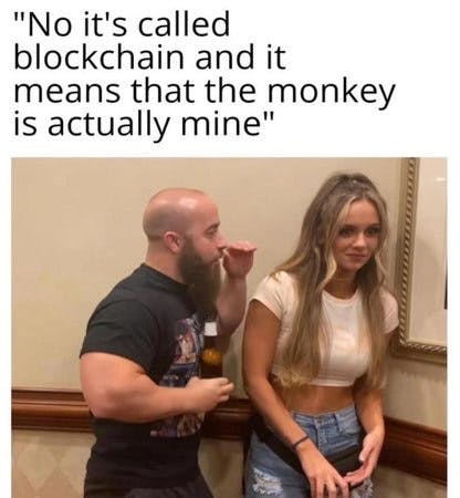 Mistura de pinscher com poodle - Мемы этого шаблона "толстый пудель, пудель, той