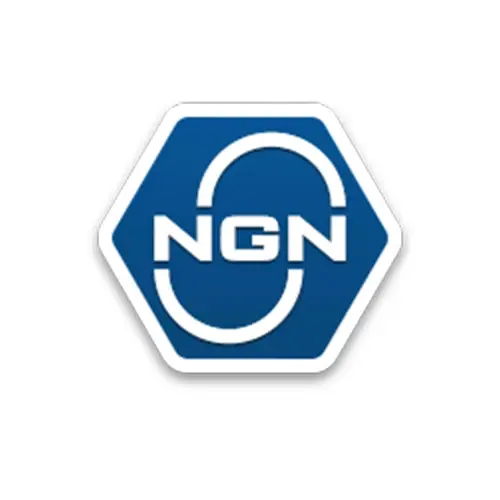 Логотип NGN