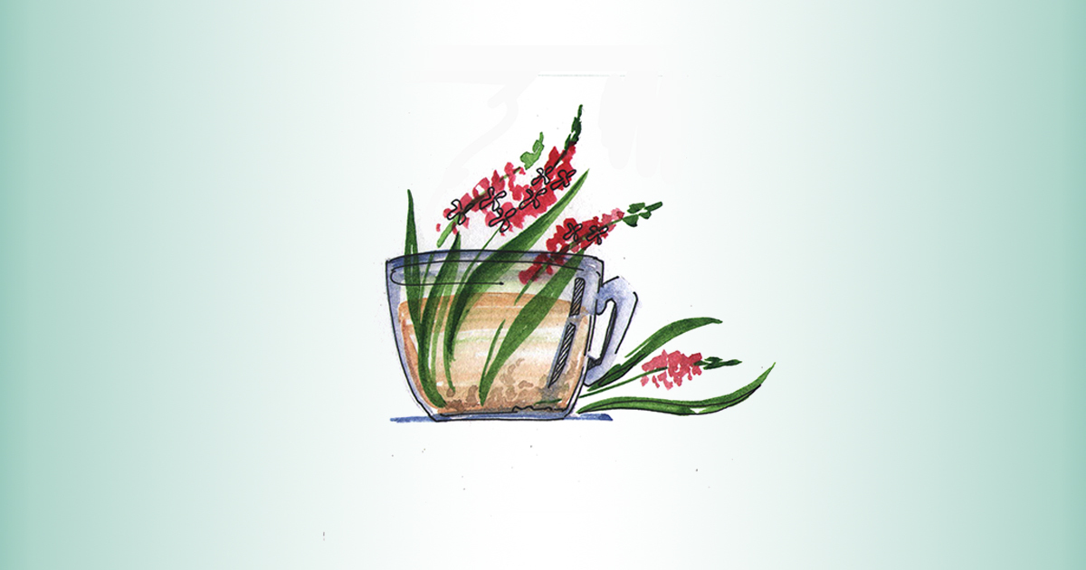 Производитель иван-чая и варенья из шишки «Уральская Экофабрика»