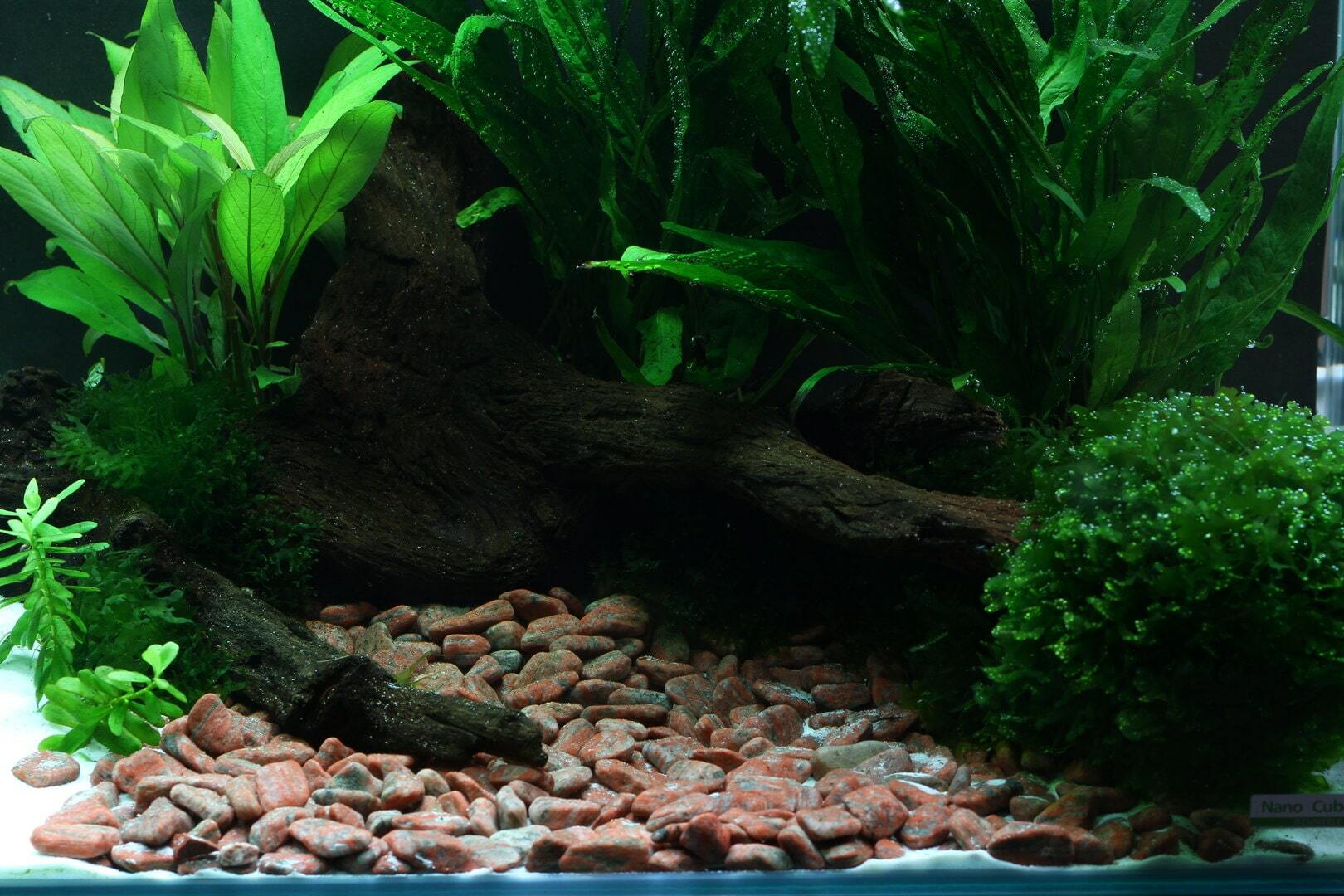 Аквариумный пол. Грунт Dennerle Plantahunter. Грунт Dennerle nature Gravel. Aquascape Dennerle Sand. Dennerle natural Gravel River.