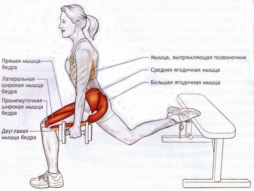 Средняя и малая ягодичные мышцы упражнения. Упражнение болгарские выпады. Болгарские выпады упражнение для ягодиц. Упражнения на малую ягодичную мышцу.